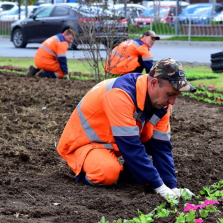 Благоустройство территории